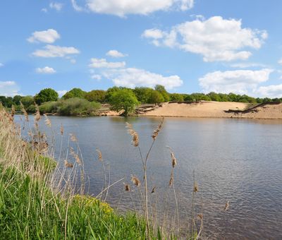 Naturschutzgebiet Meppener Kuhweide