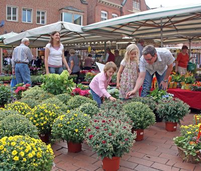 Wochenmarkt in Meppen - Blick auf Marktstand 