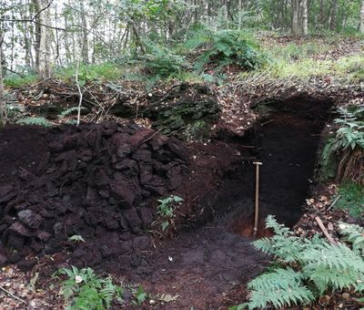 Hochmoor-Bodenprofil im Provinzialmoor