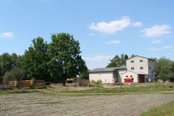 Torfwerk Hahnenmoor - Außenansicht Gebäude und Buchweizenfeld