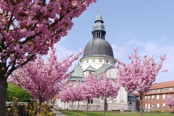 Kirche St. Martinus in Haren (Ems) - Emsland-Dom 