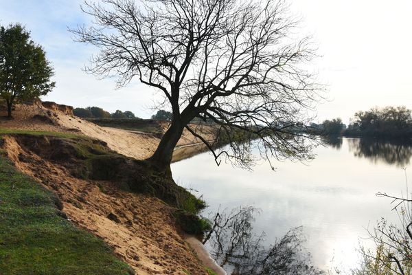 Naturschutzgebiet Meppener Kuhweide