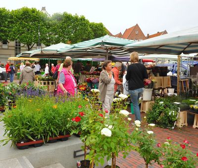 Wochenmarkt in Lingen - Blick auf Markttreiben