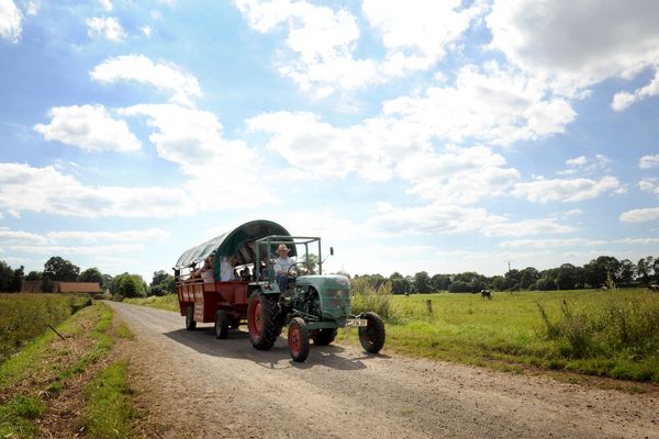 Planwagenfahrt mit Trecker