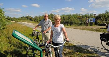 Radfahrer unterwegs im Bargerveen 