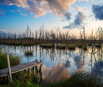 NSG Wesuweer Moor im Naturpark Bourtanger Moor