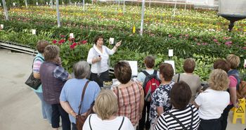 Erklärung von einer Gästeführerin im Schaugewächshaus vom Besucherzentrum Emsflower in Emsbüren 