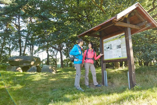 Wanderer stehen vor Infotafel bei den Großsteingräbern bei Deymanns Mühle in Stavern 