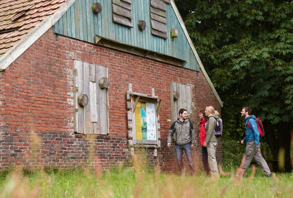 Alte Hofstelle im Bargerveen 