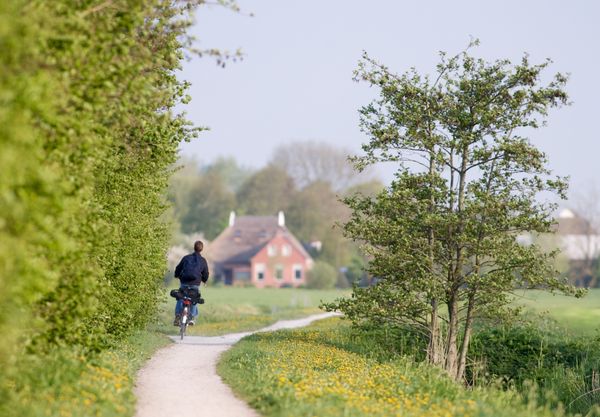 Radfahrer unterwegs auf der United Countries Tour in der Provinz Groningen 