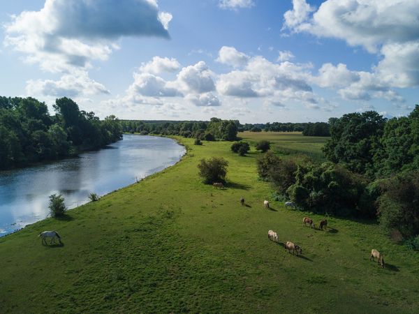 Ems bei Lathen – Landschaftsaufnahme vom Aussichtsturm 