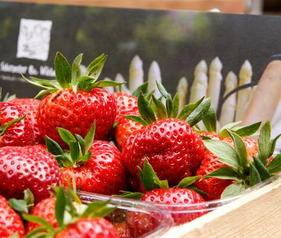 Erdbeeren und Spargel - regionales aus dem Emsland