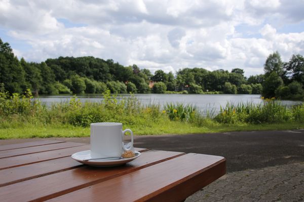 Erholungsgebiet Saller See - Kaffeepause am See 