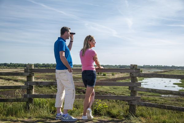 Wanderer auf dem Aussichtshügel im Dalum-Wietmarscher Moor 