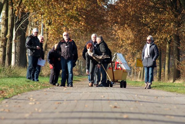 Boßelgruppe im Emsland unterwegs 